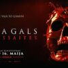 CEĻA GALS: ASINSSAITES